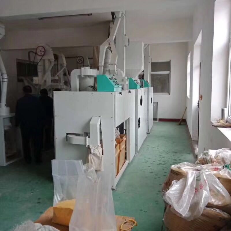 8.8玉米加工機組客戶現(xiàn)場實拍 8.8玉米加工機組客戶現(xiàn)場實拍